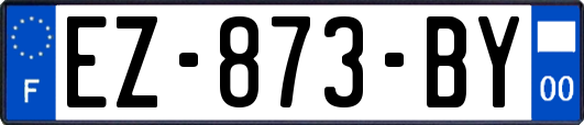 EZ-873-BY