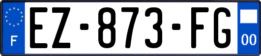 EZ-873-FG