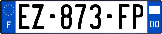 EZ-873-FP