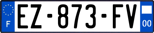 EZ-873-FV