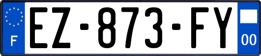 EZ-873-FY