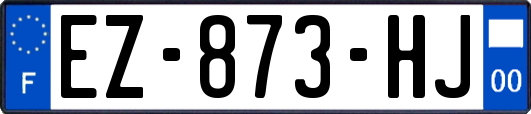 EZ-873-HJ