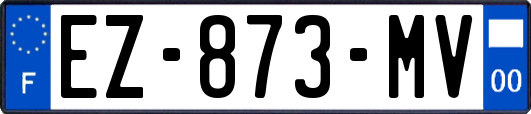 EZ-873-MV