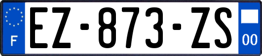 EZ-873-ZS