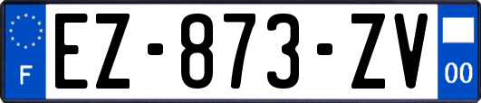 EZ-873-ZV