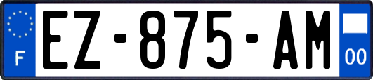 EZ-875-AM