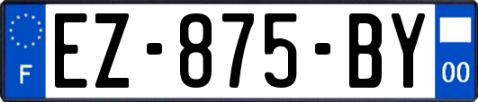 EZ-875-BY