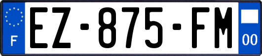 EZ-875-FM