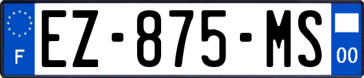 EZ-875-MS