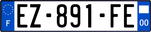 EZ-891-FE