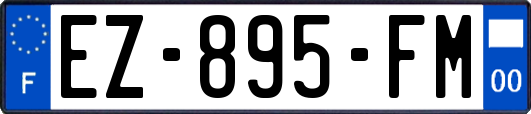 EZ-895-FM