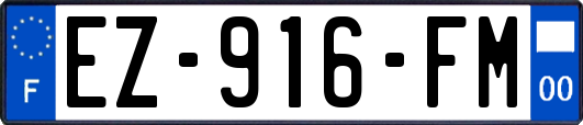 EZ-916-FM