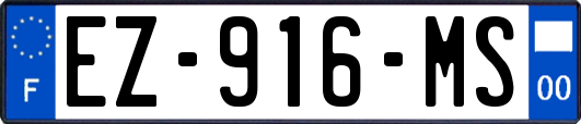 EZ-916-MS