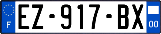 EZ-917-BX