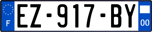 EZ-917-BY