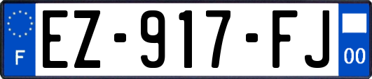 EZ-917-FJ