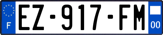 EZ-917-FM