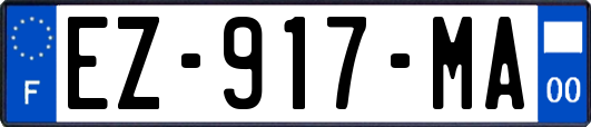 EZ-917-MA