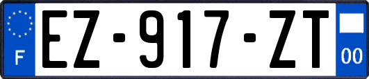 EZ-917-ZT