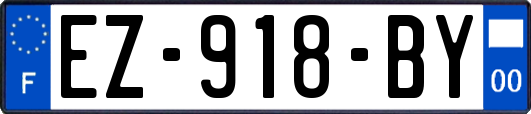 EZ-918-BY