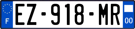 EZ-918-MR