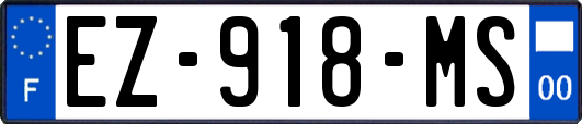 EZ-918-MS