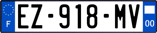 EZ-918-MV