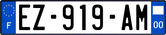 EZ-919-AM