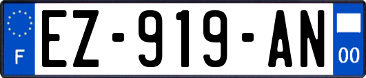 EZ-919-AN