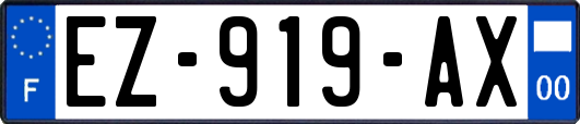 EZ-919-AX