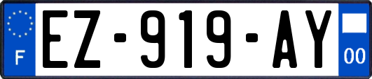 EZ-919-AY