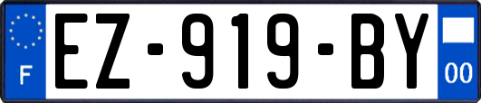 EZ-919-BY