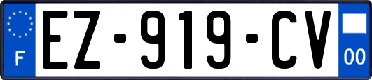 EZ-919-CV