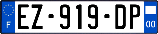 EZ-919-DP