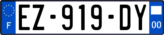 EZ-919-DY