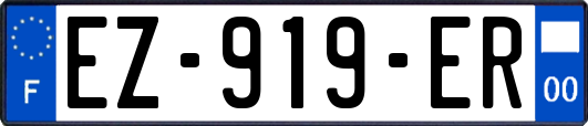 EZ-919-ER