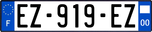 EZ-919-EZ