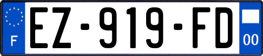 EZ-919-FD