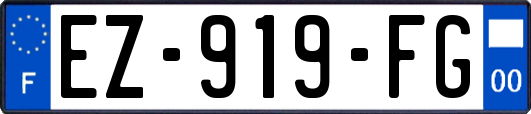 EZ-919-FG