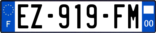 EZ-919-FM