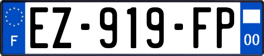 EZ-919-FP