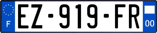 EZ-919-FR