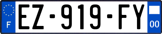 EZ-919-FY