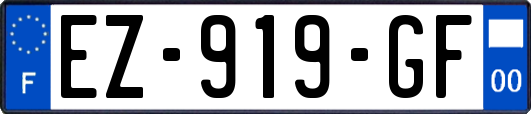 EZ-919-GF