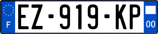 EZ-919-KP