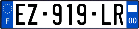 EZ-919-LR