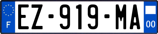 EZ-919-MA