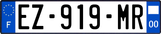 EZ-919-MR