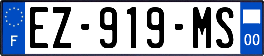 EZ-919-MS