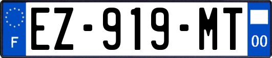 EZ-919-MT